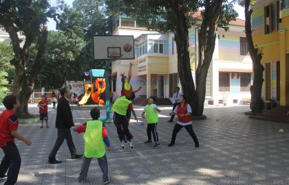 Giải đấu bóng rổ